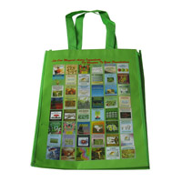 渝北LB11覆膜无纺布广告袋